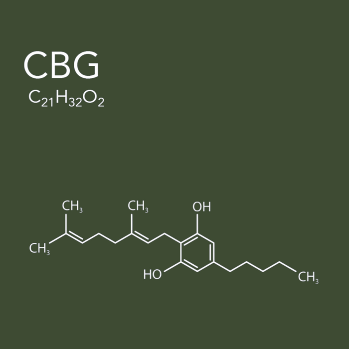 Learn about CBG – a cannabinoid known for its potential to promote focus, energy, and overall balance.