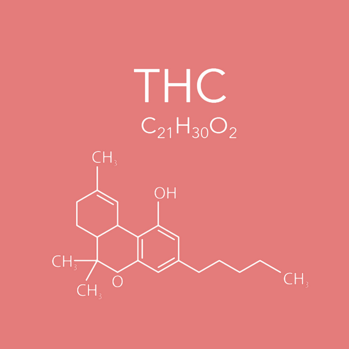 Learn about THC – the well-known cannabinoid responsible for the psychoactive effects of cannabis, with potential therapeutic benefits for pain, sleep, and mood.